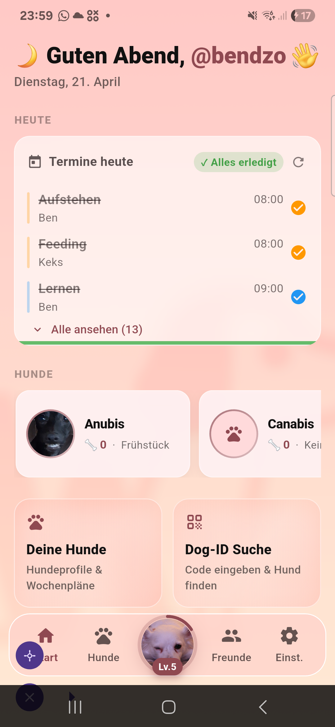 Watdog Startbildschirm mit Terminen und Hunden